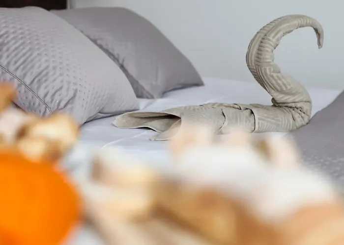 Jerry * Jastrzębia Góra